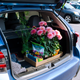 Image for article titled The Subaru Crosstrek Makes Sense Once You Drive It